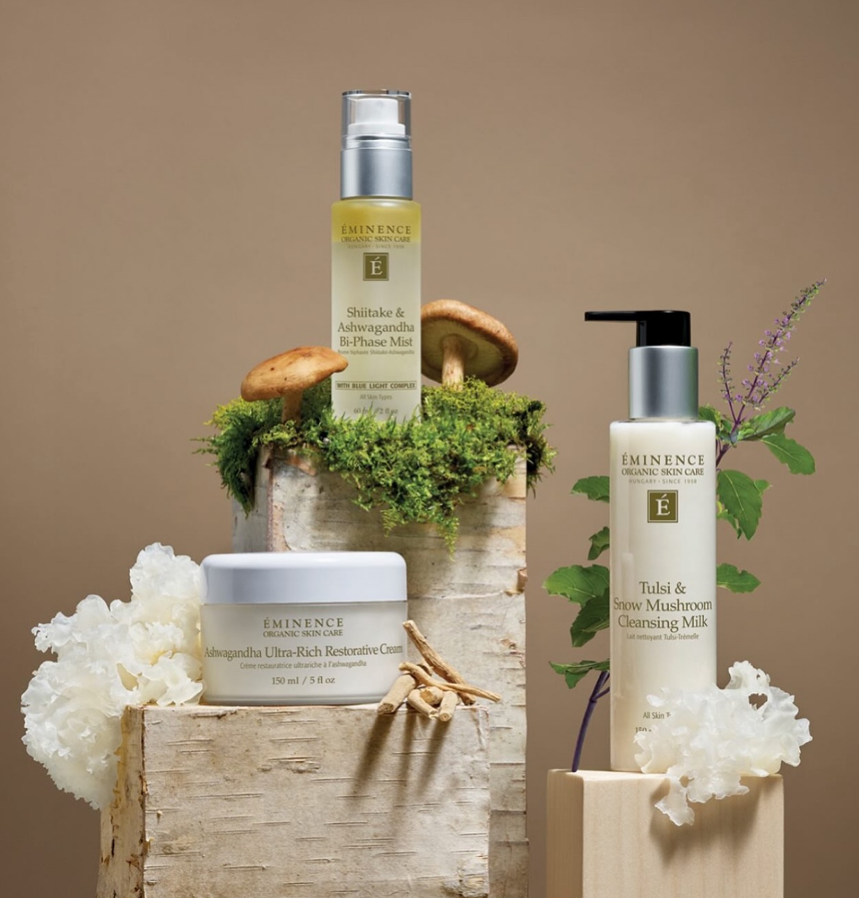 Crazy November – Up to 40% Off!