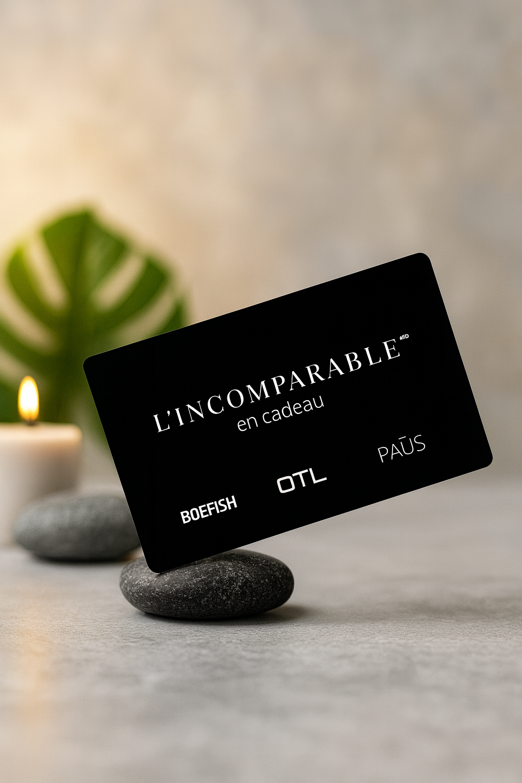 Crazy November – Up to 40% Off!